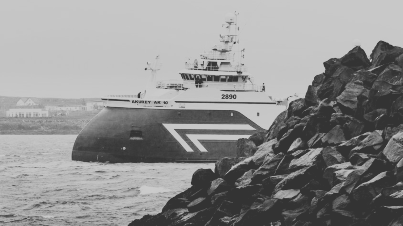 Kaupin á Lýsi rökrétt í ljósi veiðigjalda en verðið í hærra lagi